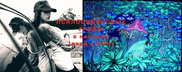 МДПВ Касимов