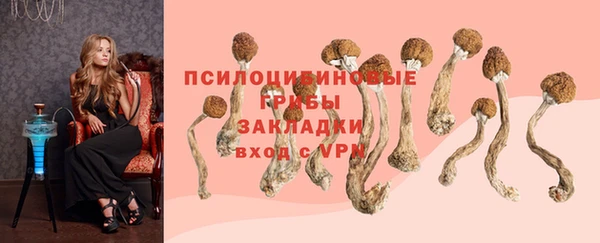 мдпв Каменск-Шахтинский