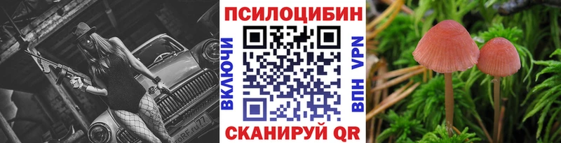 Купить где  Тетюши  Псилоцибиновые грибы GOLDEN TEACHER 